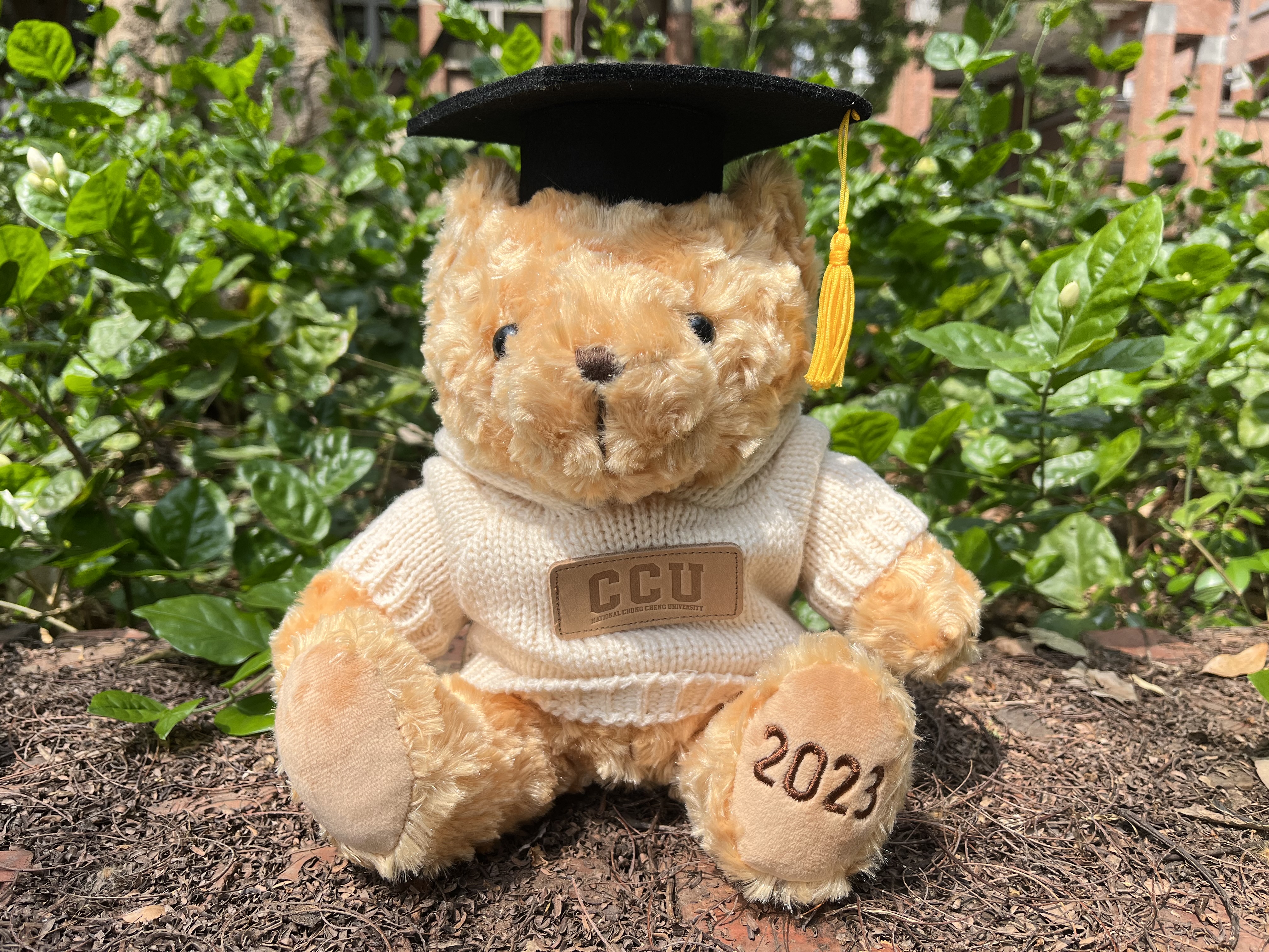 【畢業送禮，回憶滿分】CCU毛衣微笑小熊_奶油米